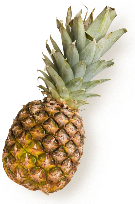 img-pineapple img-pineapple
