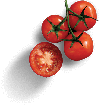 img-potato img-potato
